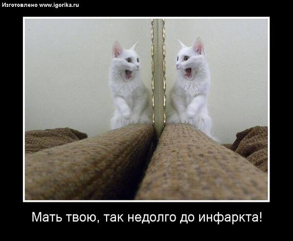 Garry_Muse's tweet photo. Прикольно! Igorika.ru - Лучший Сайт отборного Юмора http://t.co/AGpN4oADeP