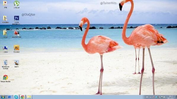 _Paisajes_'s tweet photo. Me encanta fondo flamenco http://t.co/TCLUsuQzTc