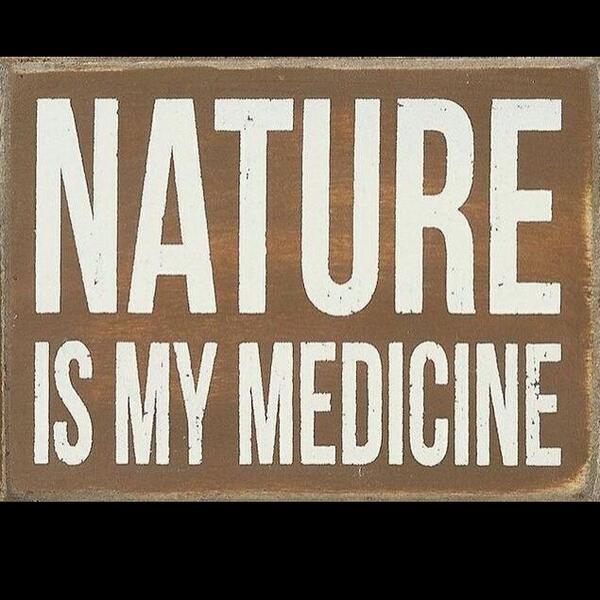 _embermoon's tweet image. 🌿🌾🍄