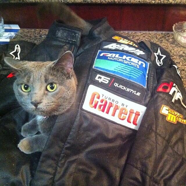 localfrs's tweet image. Looks like Roxy wanted to come with me to Atlanta! #gitndrift #falkentire #turbobygarrett #turbolife #quickstylem...