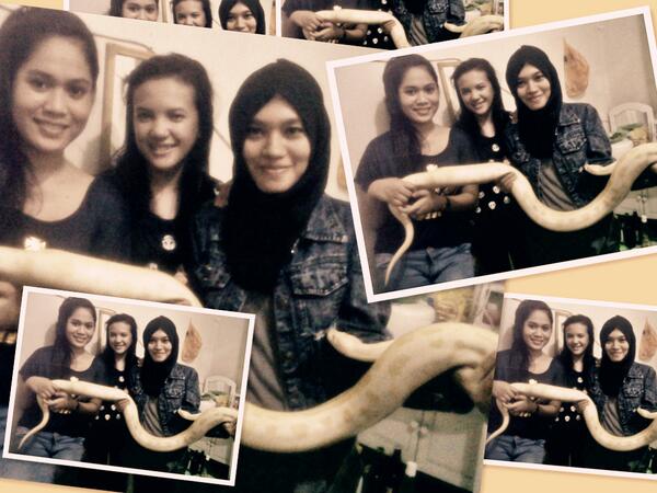 anha shara arha (@anha_shara) on Twitter photo 