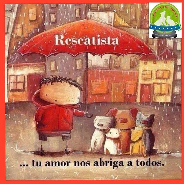 PeluditosCuenca's tweet photo. Corazon animalista..!! http://t.co/8oKd64BfCH
