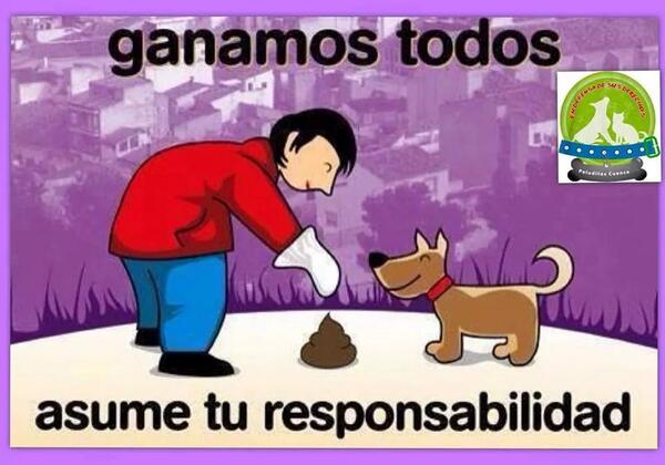 PeluditosCuenca's tweet photo. Resposabilidad..!! http://t.co/KScIFpUovi