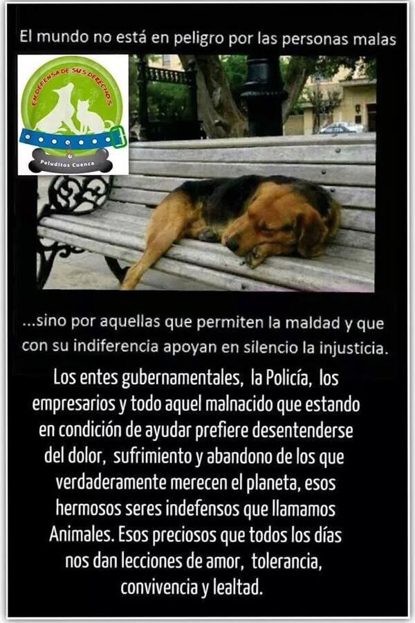 PeluditosCuenca's tweet photo. :( http://t.co/cZ5I5GEDFF