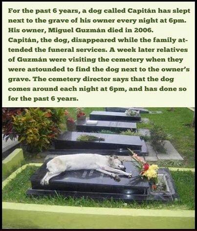 TheMindBlowing's tweet image. 