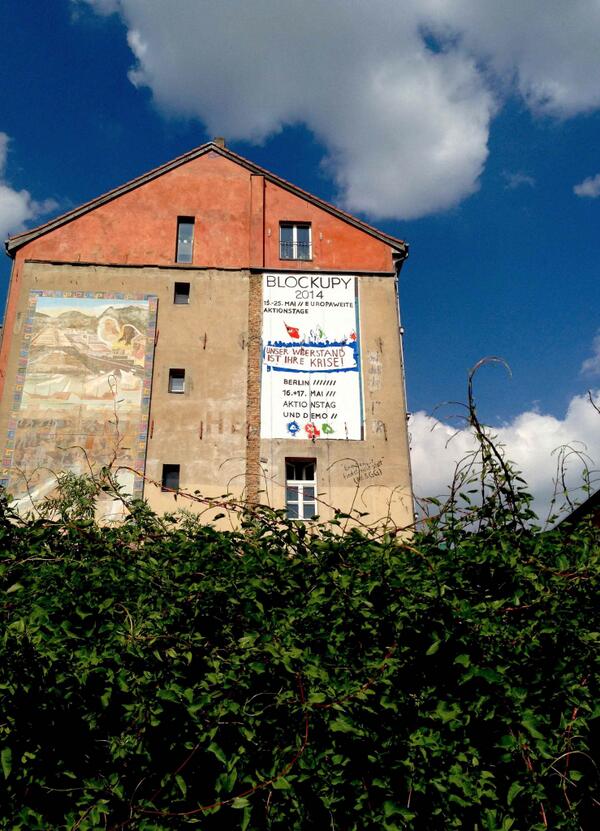 Dina Ciraulo tweet media