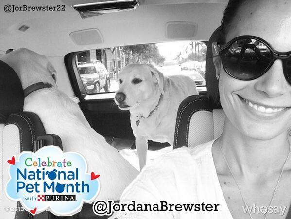 JorBrewster22 tweet picture
