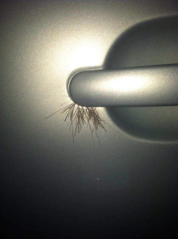 cody_dick's tweet photo. @tkauffmanboii yup someone sure did kick in my car with boots? That's why there's deer hair and all stuck in my car http://t.co/vamA3liNzx