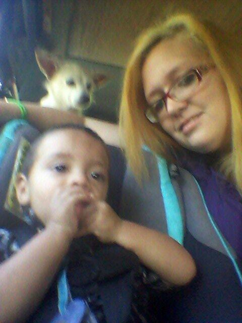 Com12Sarah's tweet image. My handsome little boy