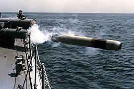 ギョギョーッ！？これは魚雷ですねー！世界中で色々な種類が生息してい