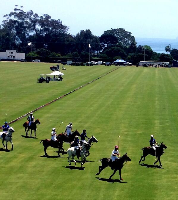SBLifeandStyle's tweet photo. In on the action🐎 http://t.co/pcI8MlWY1B