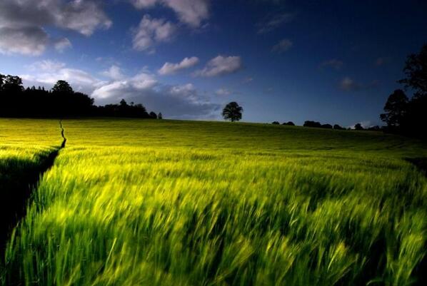 пейзаж. просто природа фото. просто природа фото. просто природа фото. красивый пейзаж природы простой.