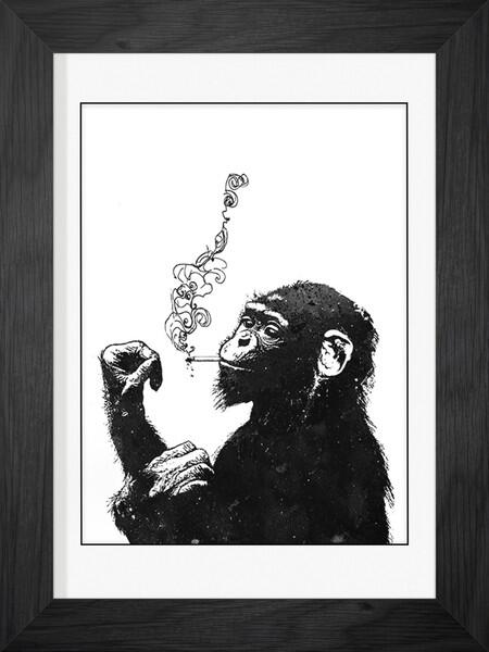 alexcherrypicks's tweet photo. Bitch Don't Kill My Vibe @EyesOnWalls #alexcherry #eyesonwalls http://t.co/Ig5veJgjuM http://t.co/4IapTU0Lhq