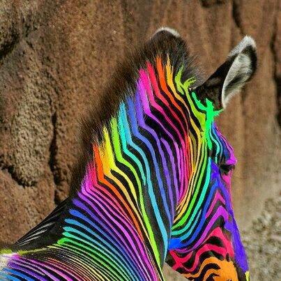 rainbowdashhuma's tweet image. :O omg