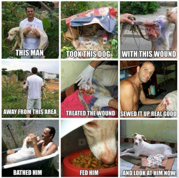 IKZOUGRAAGWILLEN tweet media