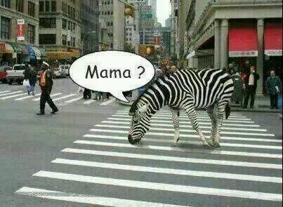 iIusionOptica's tweet photo. ¿Mamá? http://t.co/7fbyZBynCg