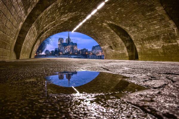 Gabriele_Corno's tweet photo. Notre Dame de Paris by H.Bastien #Mirror #CGE #Paris http://t.co/UoO9KfSr6B