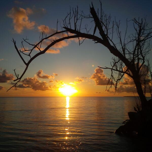 antonthedy's tweet image. Sunset terindah dipulau sangalaki
the best of derawan
@donnaoriza
@AAKuntoA
Cant wait to be there this friday