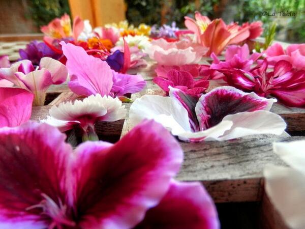 Disfrutando La humildad de garabato de las plantas buff.ly/1oiHHAS  gracias a  <a href="/latabla_vivero/">просто лампочка</a>