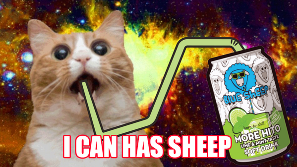 BlueSheepEE's tweet photo. Meow! #kass #meow http://t.co/gkwwmHsAxS