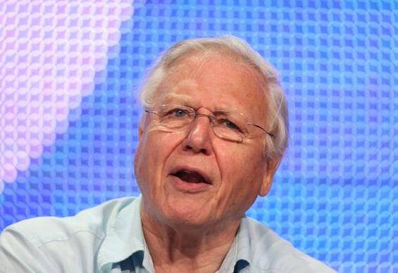 TheIndyPeople's tweet photo. Shocking news from David Attenborough over the weekend: http://t.co/o2AWngsTZM Though we instantly forgive him... http://t.co/mU99iPfkF9
