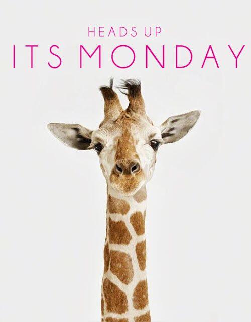 THESTATIONAPTS's tweet image. Hawthorne at the Station is wishing everyone a Happy Monday!!!