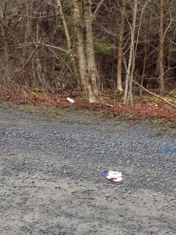 Karrie_Ann902's tweet image. HONESTLY... Who #litters? And we just did a huge spring clean up on the weekend! #hrm13 #hp #garbage #enviroment