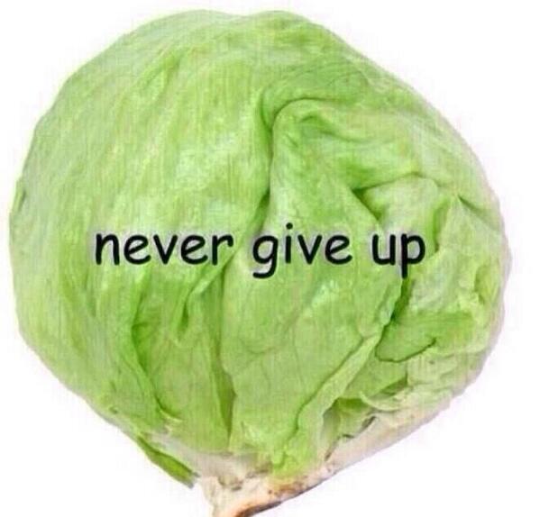 mathguypi_'s tweet image. When doing math