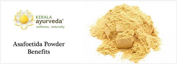 Asafoetida is one of its kind with pungent smell. Yet it has many effective medicinal uses. ayurvedaacademy.com/blogs/asofoeti…