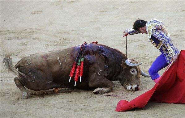OtroFinalEsPosi's tweet photo. #TORERO, CUANDO TE LLAMO ASESINO, NO TE INSULTO, TE DEFINO! #VergüenzaTaurina http://t.co/8B0OXqVpJI