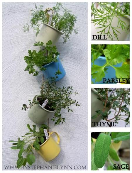 Tripidi's tweet photo. Love the idea of a hanging herb garden! Find instructions here:  http://t.co/I2ux15fKMK #diy #herbs #health http://t.co/jsdeGuXaYN