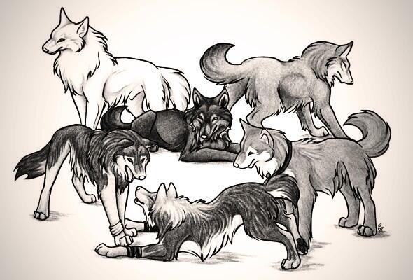 thehiestpack's tweet image. A picture of me,Kara,Mia,Cole,Tony, and Sapphire