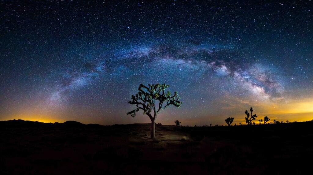 From the U.S Department of Interior Twitter feed: To celebrate being named to the @TIME #Twitter140, here is an amazing photo from @JoshuaTreeNP. pic.twitter.com/F4DS5Xv9vq