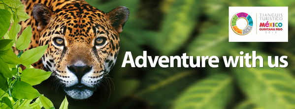 Discova Americas tweet media