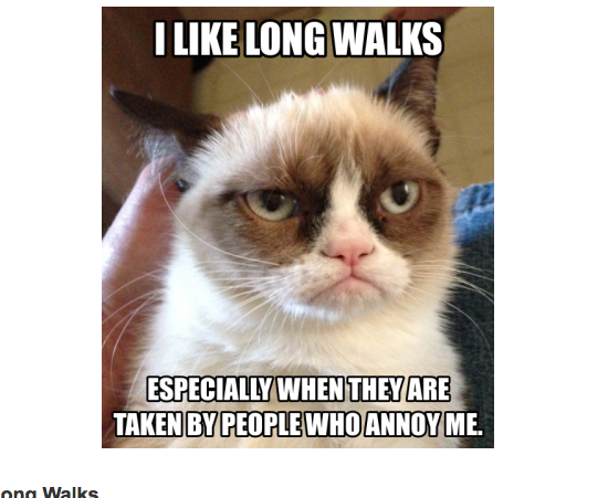 Grumpyy_caat's tweet photo. https://t.co/GkVsW9ldQY