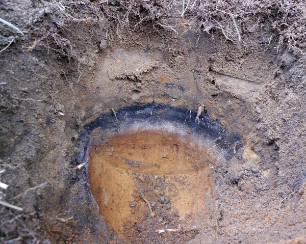 104homestead's tweet image. Soil Geeks!  What is the dark layer in my soil?  It is as tough like rock, but then crumbles. #soiltech #dirtnerd