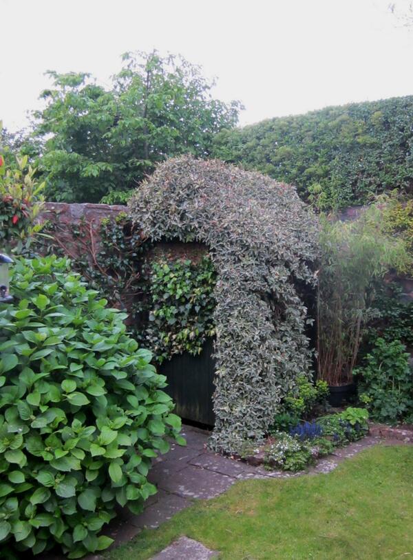 SimonShh's tweet photo. @FatBoyTim @phhunter22 @TimIves1 @ShedPorn A little bush-trim for access maybe, but some mystery must be retained... http://t.co/1qk32vcvXf