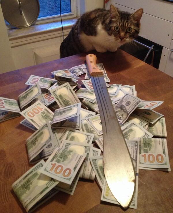 CatsAndMoney tweet picture