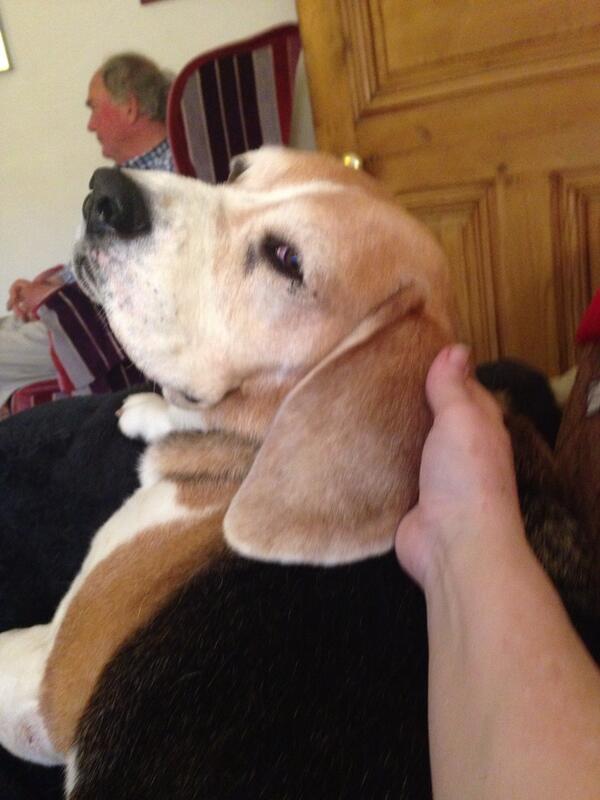 Aroooo I like when mum I scratching my ear