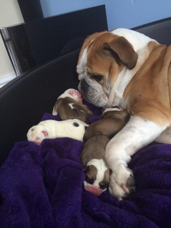 NatalieDewhurst's tweet photo. http://t.co/p1k6LCIimu