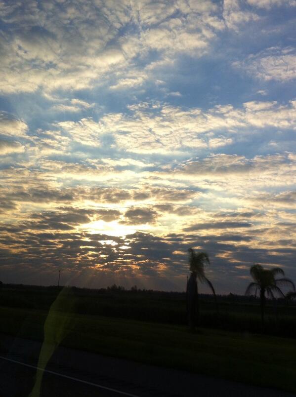 rob331978 tweet picture