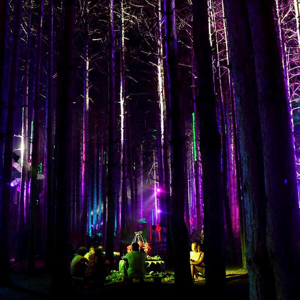 Electric_Forest's tweet photo. "The clearest way into the Universe is through a forest wilderness." - John Muir http://t.co/KuINhnLMok