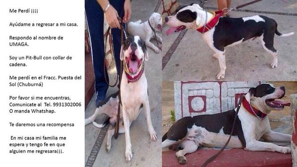 sugarkcal's tweet photo. @elalkimista ayudamos difundiendo esto!!! http://t.co/OEYWKBBCd4