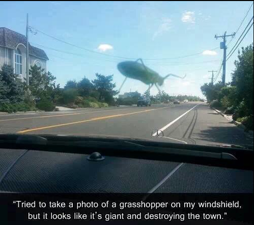 TumblrEdited's tweet photo. http://t.co/nJggqqADqj