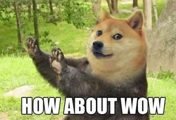 CourtneyFair1's tweet photo. “@DogeTheDog: Wow
            Such wow
     Much wow
         How about wow? http://t.co/v0f2riPXEy” @KaliKupp