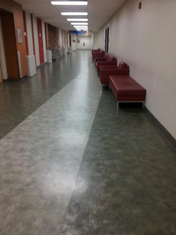 r00kh3's tweet image. Why cant it be this way all year round #TRS #RyersonProblems