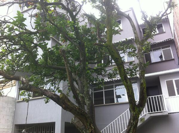 Desde el árbol de Naranjas.....