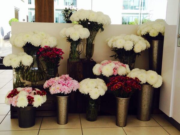 Lexus of Blackburn (@lexusblackburn) on Twitter photo <a href="/LexusBlackburn/">Lexus of Blackburn</a> cafe has turned floral for all the Lexus Mum's #MothersDay #LexusBlackburn <a href="/LexusBlackburn/">Lexus of Blackburn</a> cafe has turned floral for all the Lexus Mum's #MothersDay #LexusBlackburn