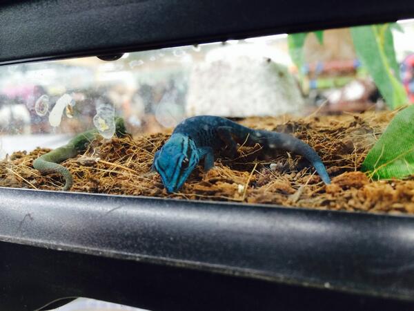 この子可愛いなぁ