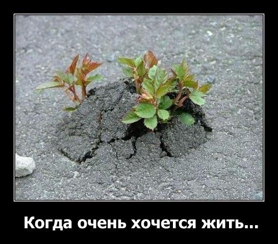 Возможно а что нет и. Возможно а что нет и